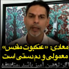 ببینید | پیمان معادی عنکبوت مقدس را با خاک یکسان کرد | انتقاد فوق خشن پیمان معادی از فیلم عنکبوت مقدس